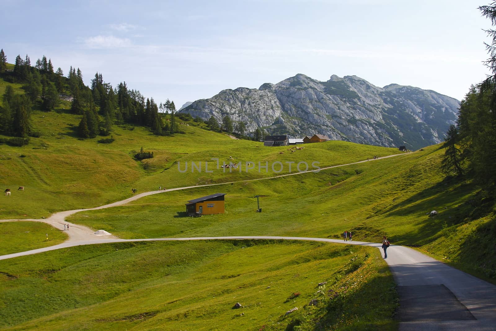 Austria large panorama of the green valley with the mountains in background