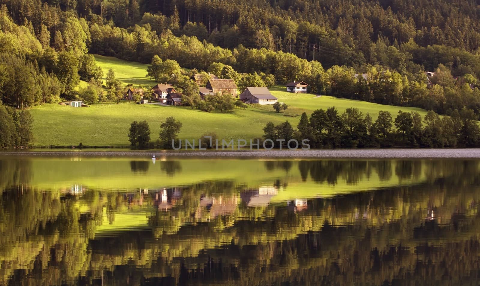 Beautiful lake with cristal water hidden in the forest