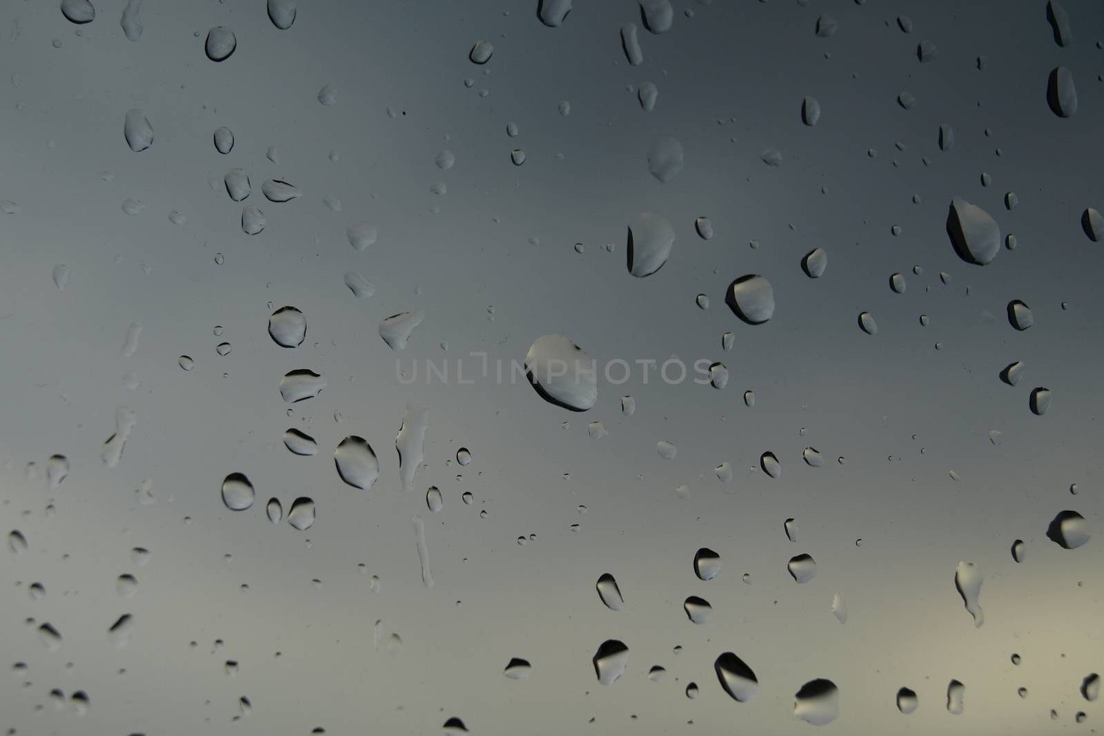 The window of the car with rain drops