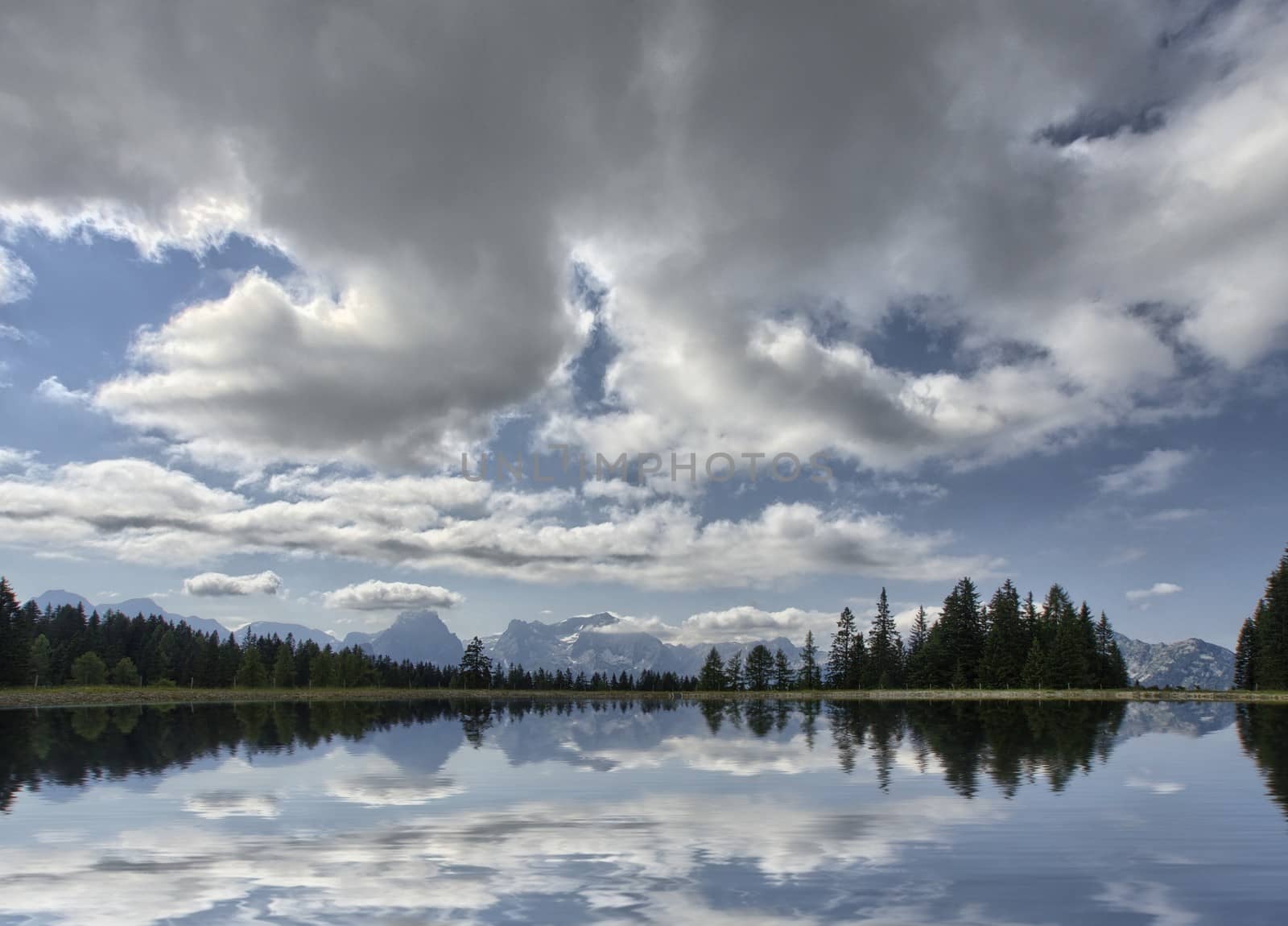 The panorama of the lake in the forest