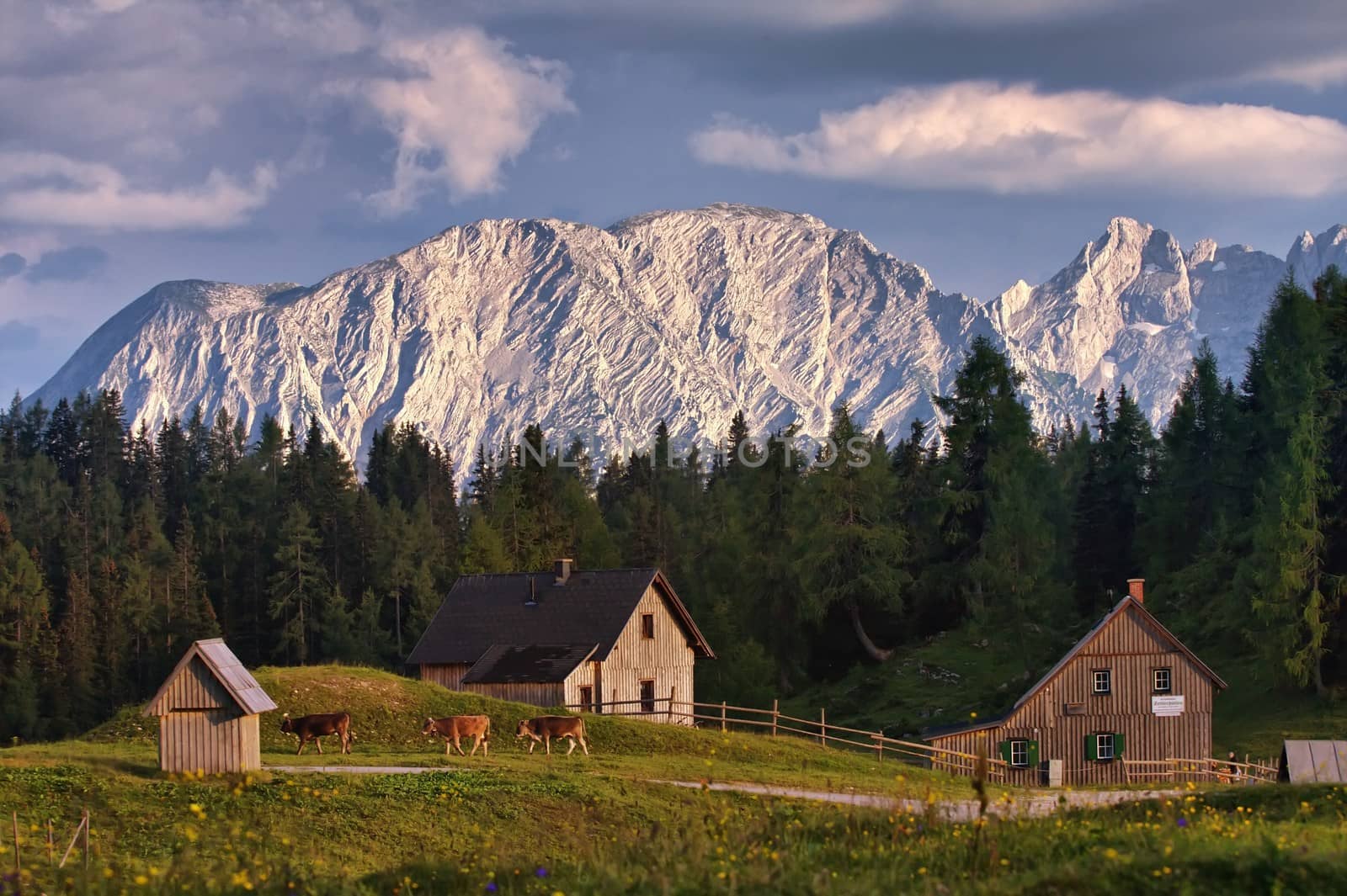 Little farm in the forest in mountains