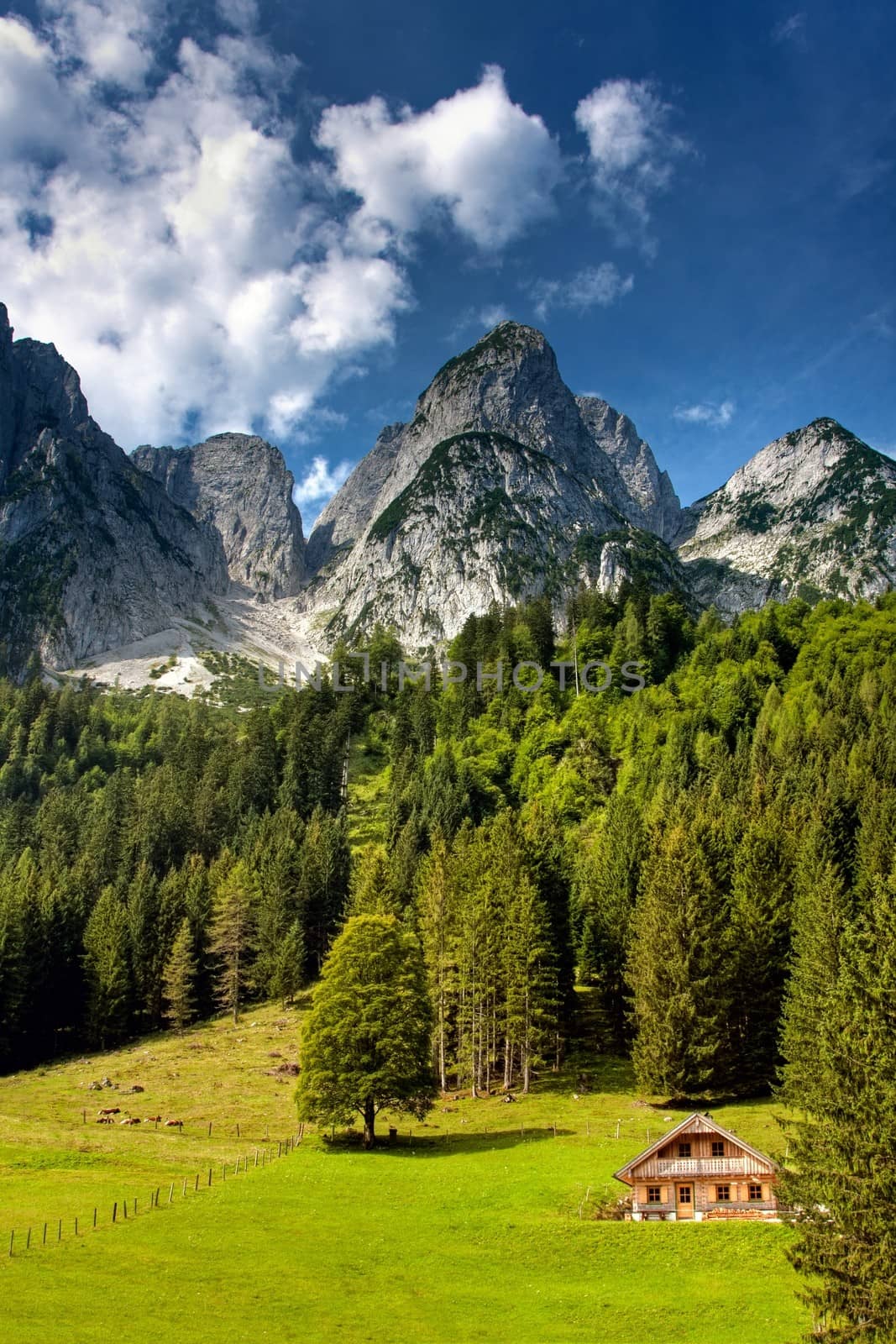 Little house in the forest in mountains