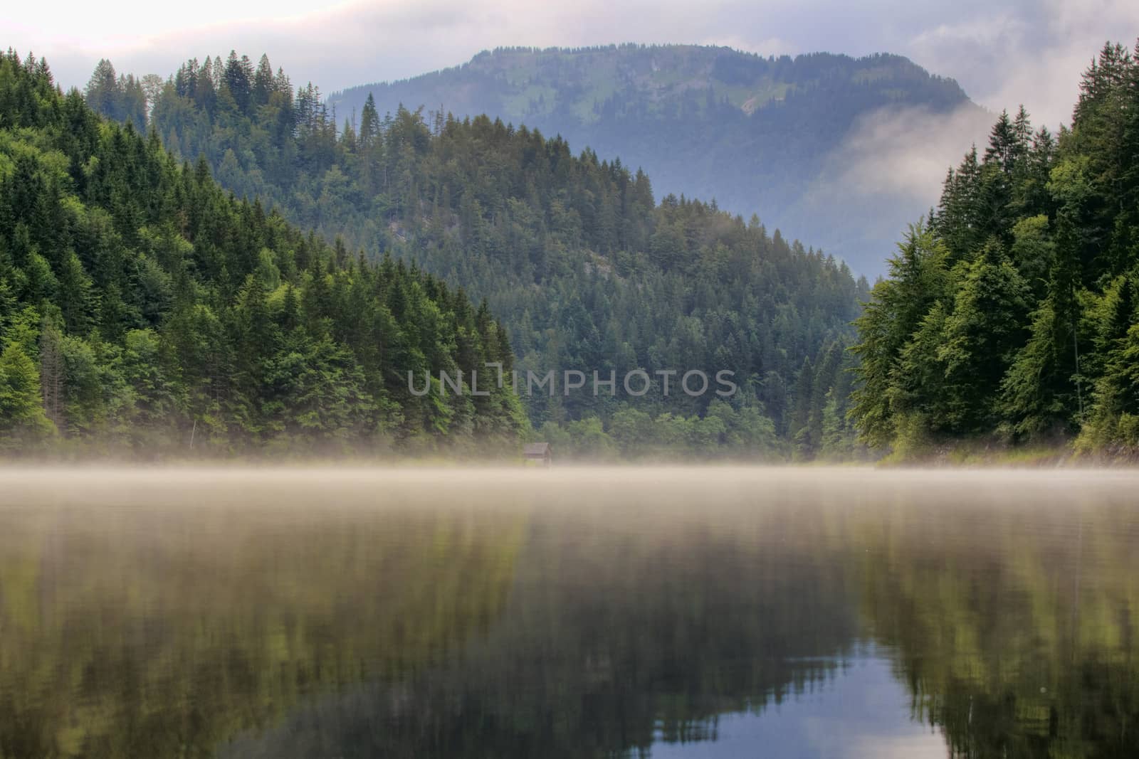 The lake covered by the fog in the forest