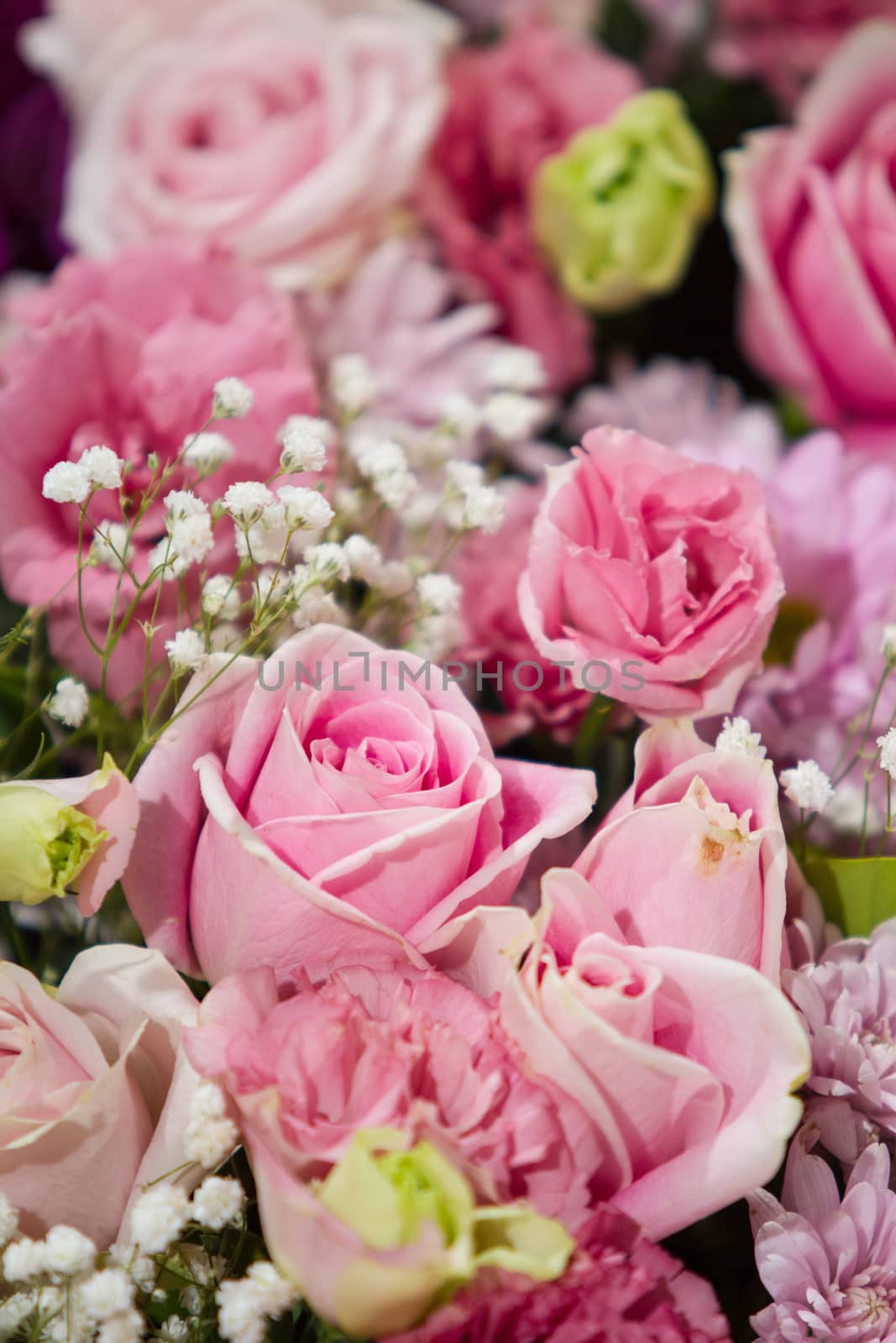 Rose flowers mixed bouquet with for background