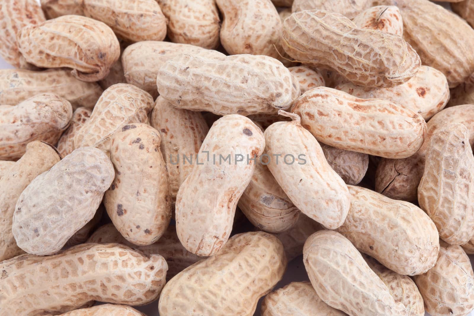 peanut on white background