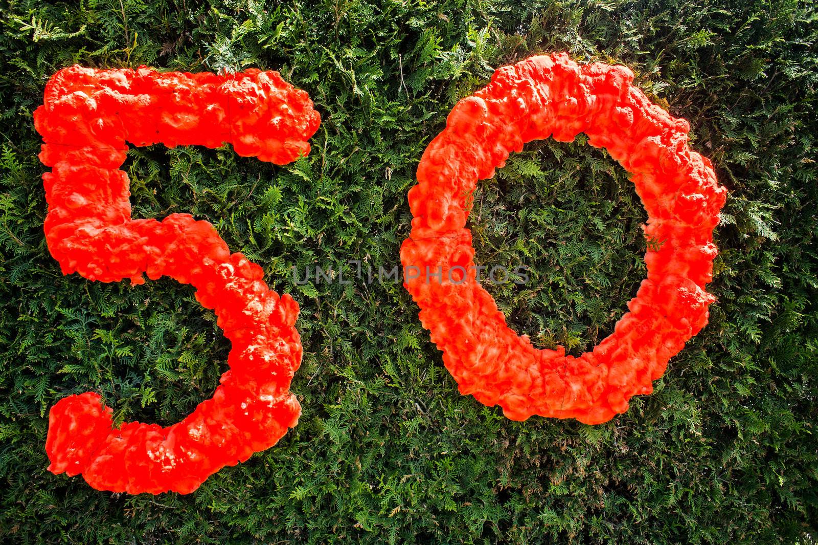 Number Fifty written on a bush