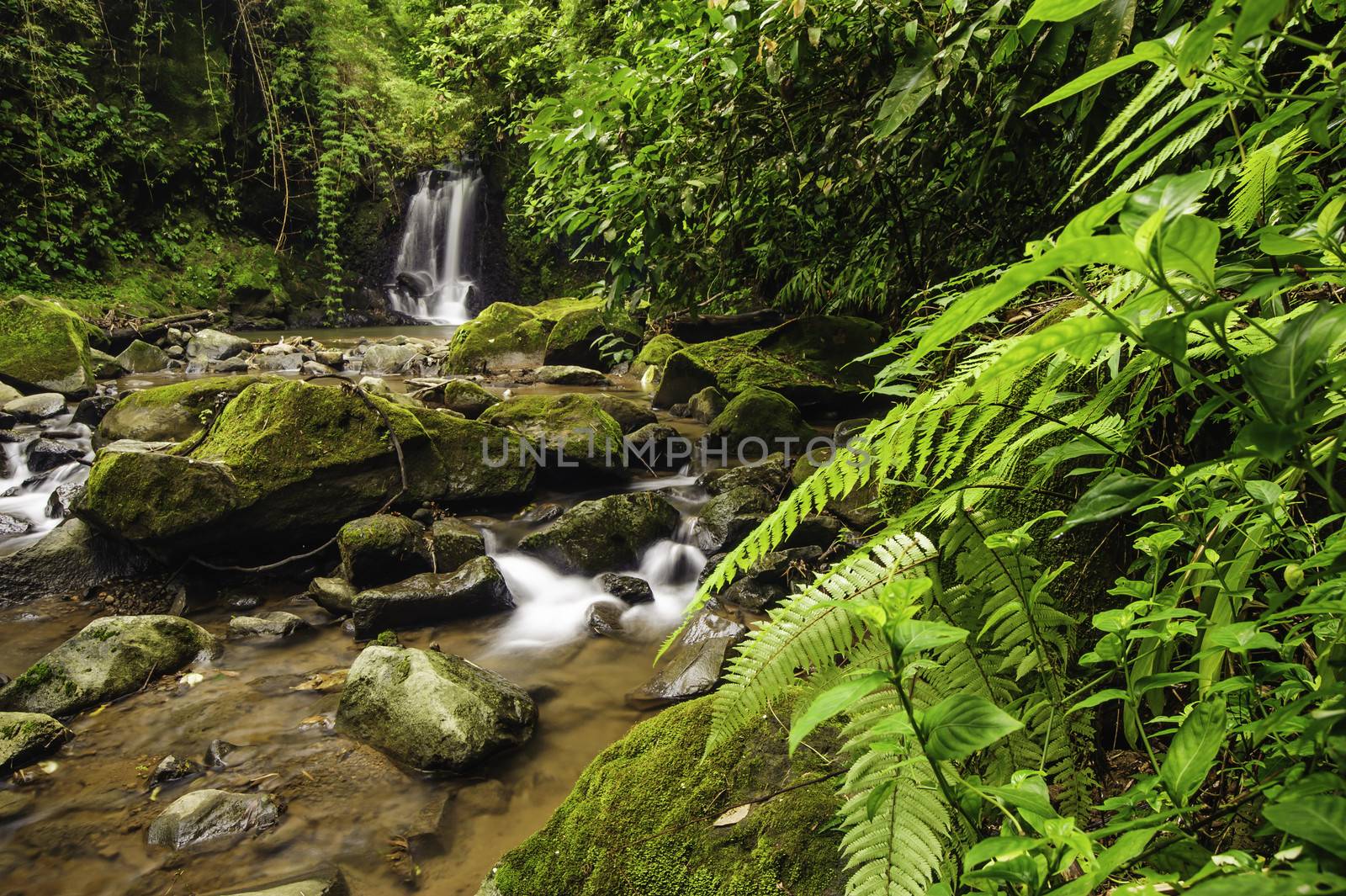 Rocky mountain stream in a Costa Rica rainforest.