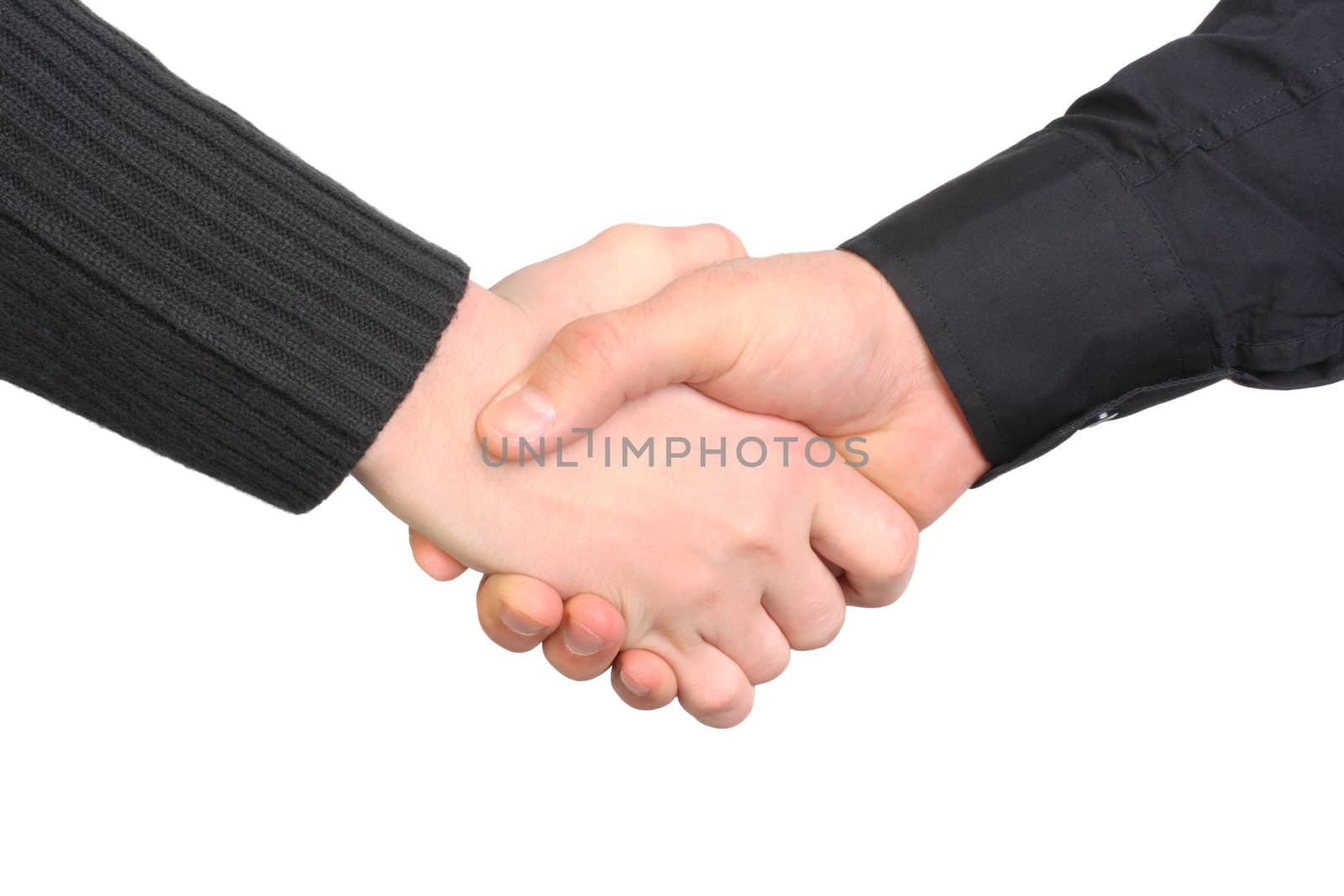 handshake close-up Isolated on the white