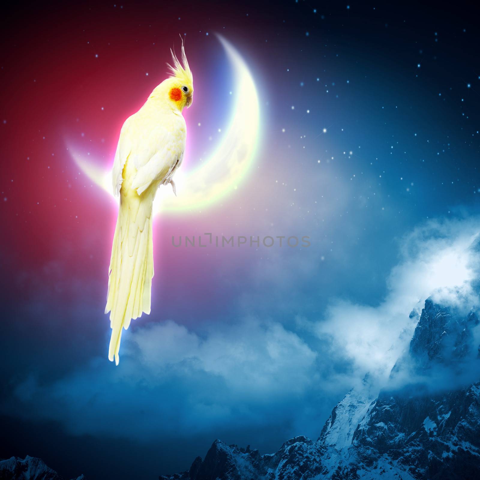 Image of yellow parrot sitting on moon