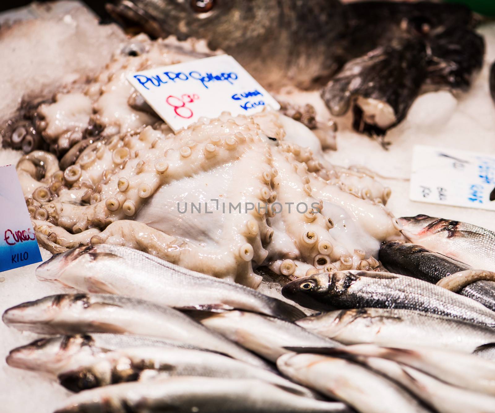 Fresh fish and octopus in the market