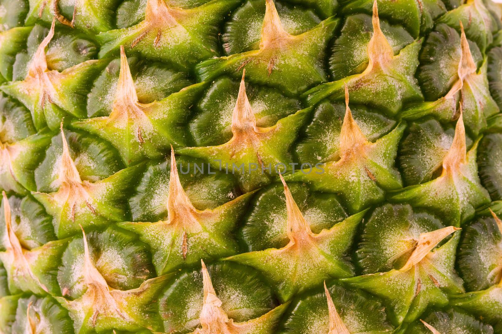 Pineapple fruit by Gbuglok