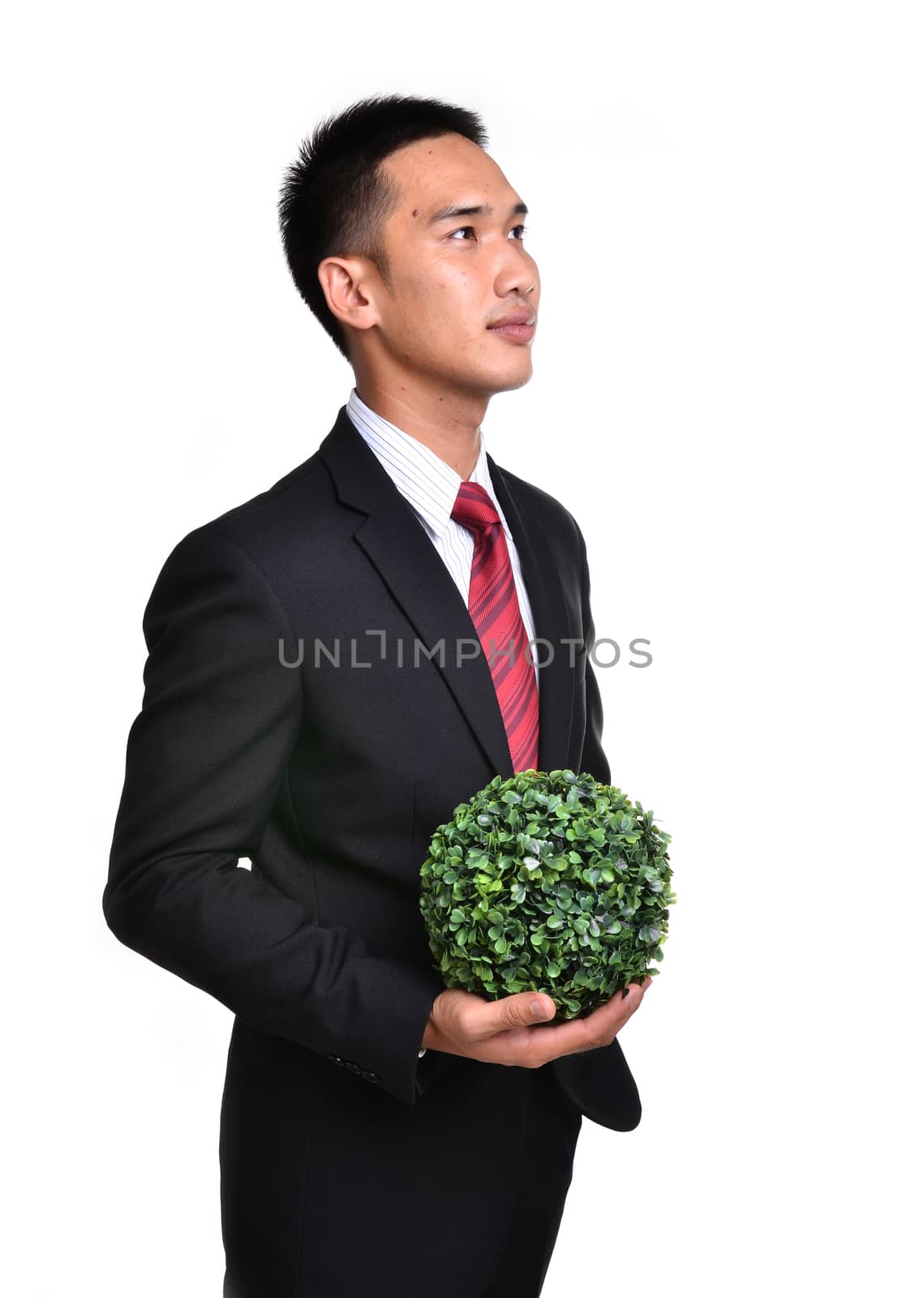 bussiness man with future eco - green energy concept isolated