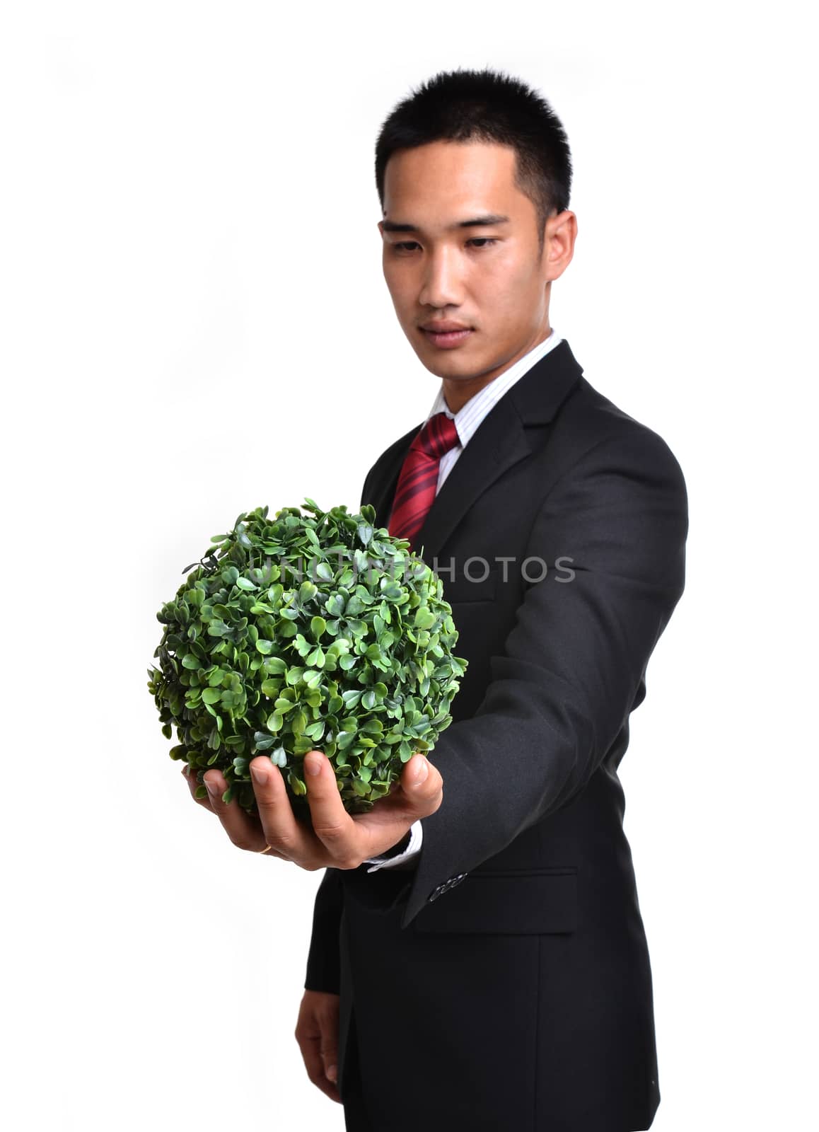 bussiness man with future eco - green energy concept isolated