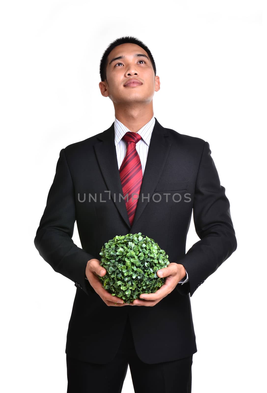 bussiness man with future eco - green energy concept isolated