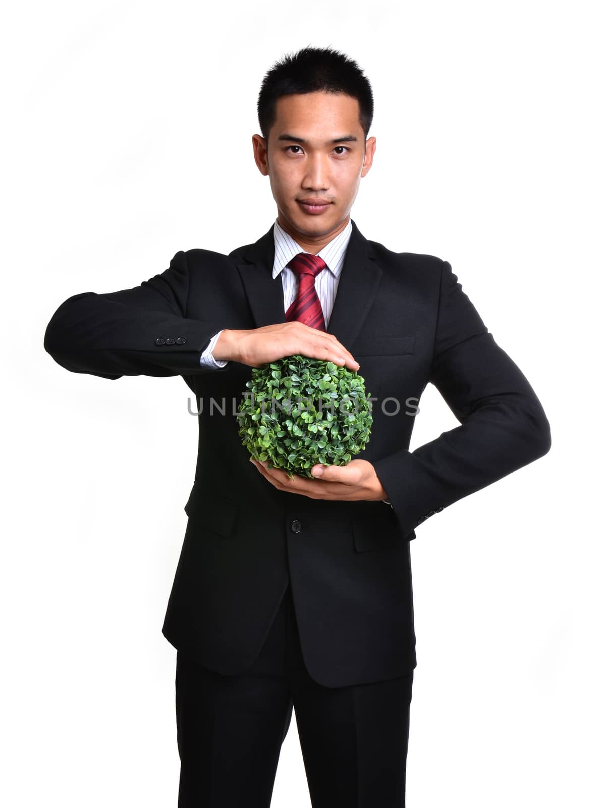 bussiness man with future eco - green energy concept isolated