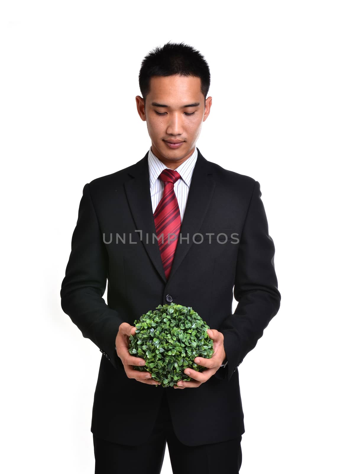 bussiness man with future eco - green energy concept isolated