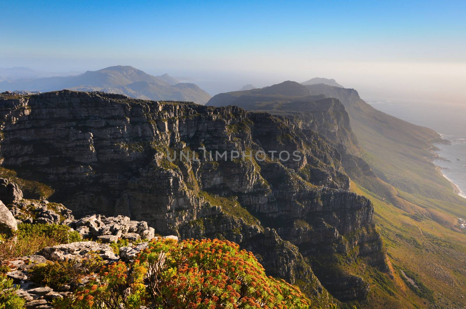 View from high mountain on ocean coastline with plants on front