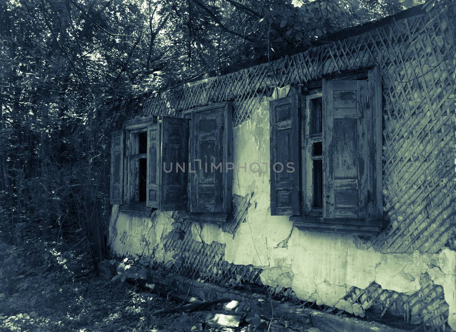 Old abandoned house by iryna_rasko