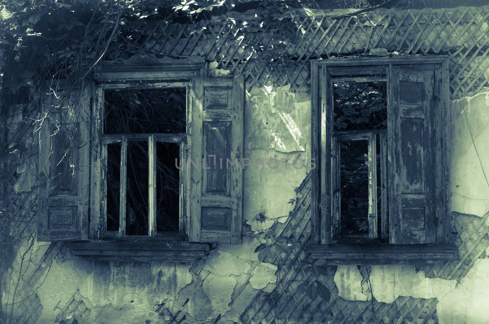 Old abandoned house windows by iryna_rasko