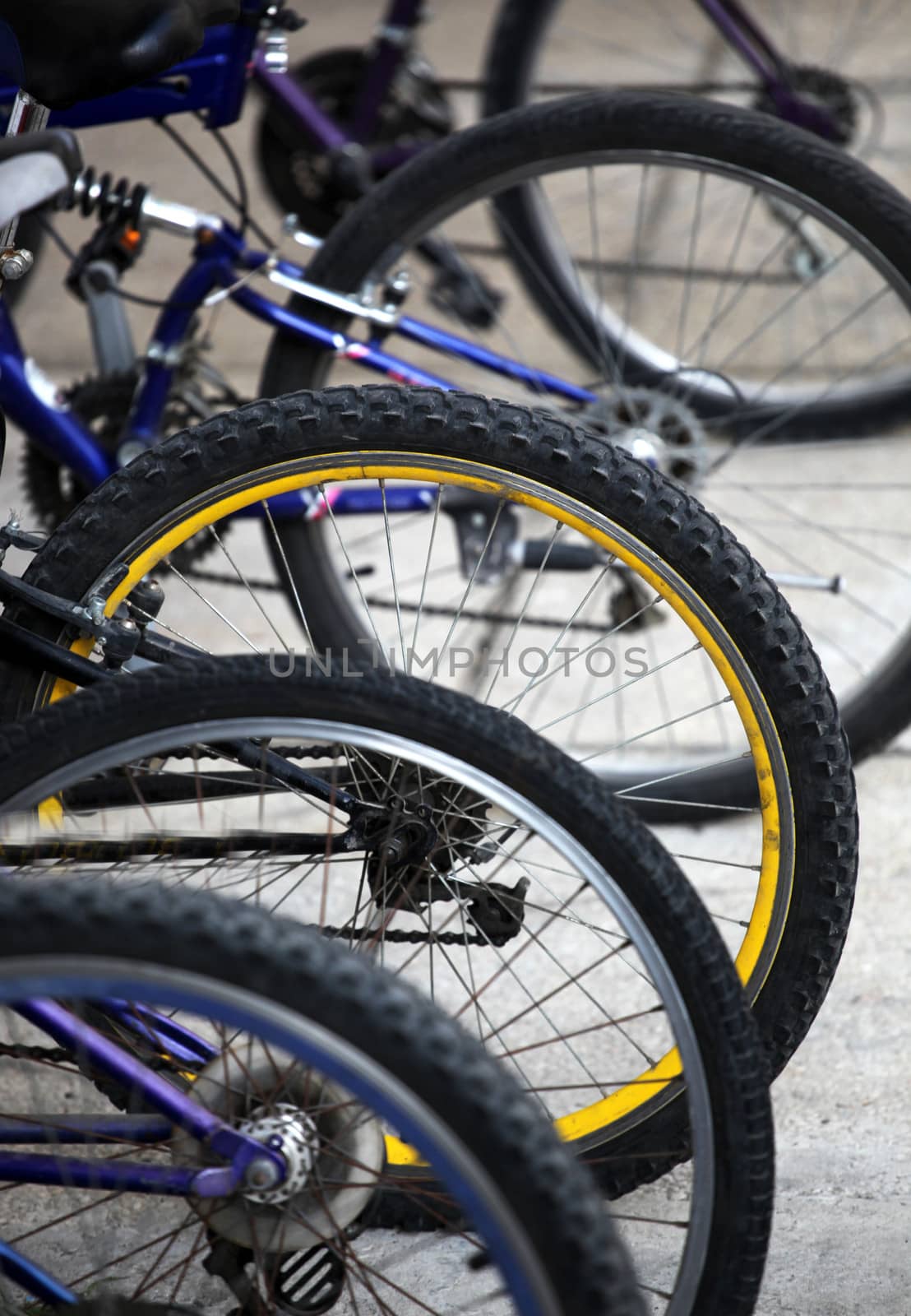 Wheel detail of a group of bikes