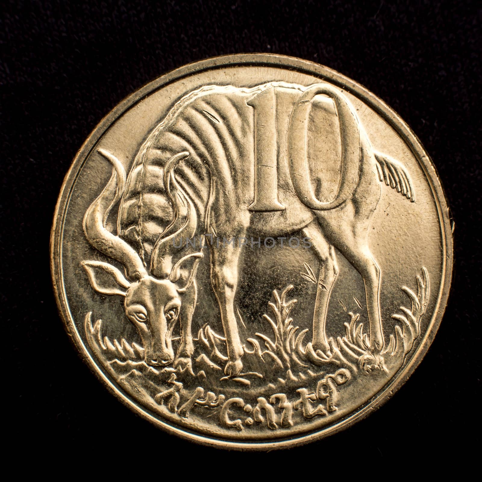 Figure of an antelope on a coin by derejeb