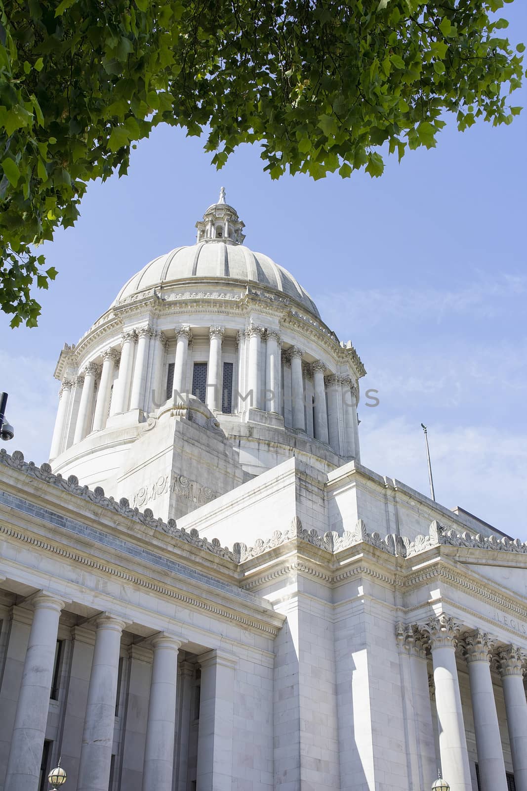 Washington State Capitol Building Dome  in Olympia Framed by Tree Foliage