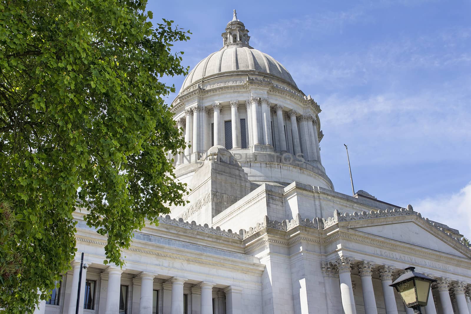 Washington State Capitol Building in Olympia Framed by Tree Foliage
