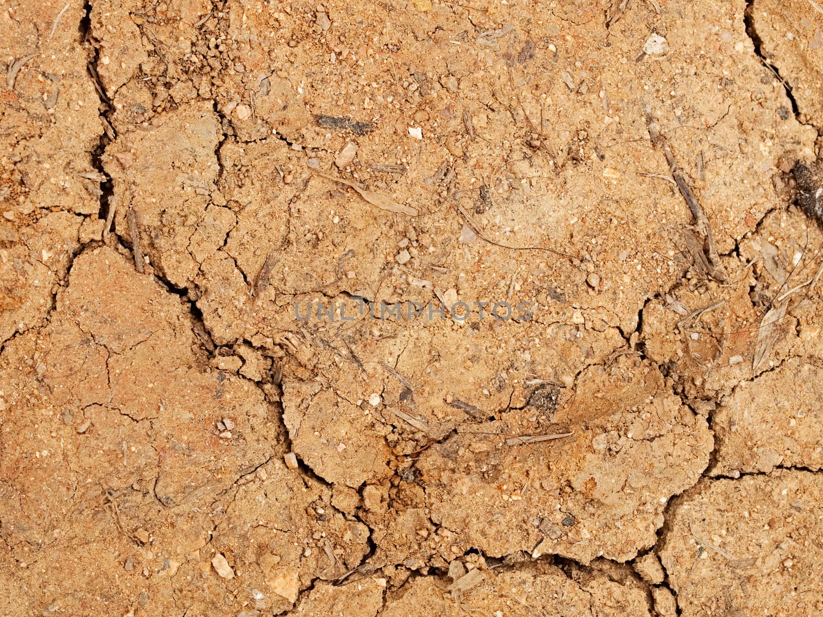 Hard cracked dry decomposed granite dirt with quartz background