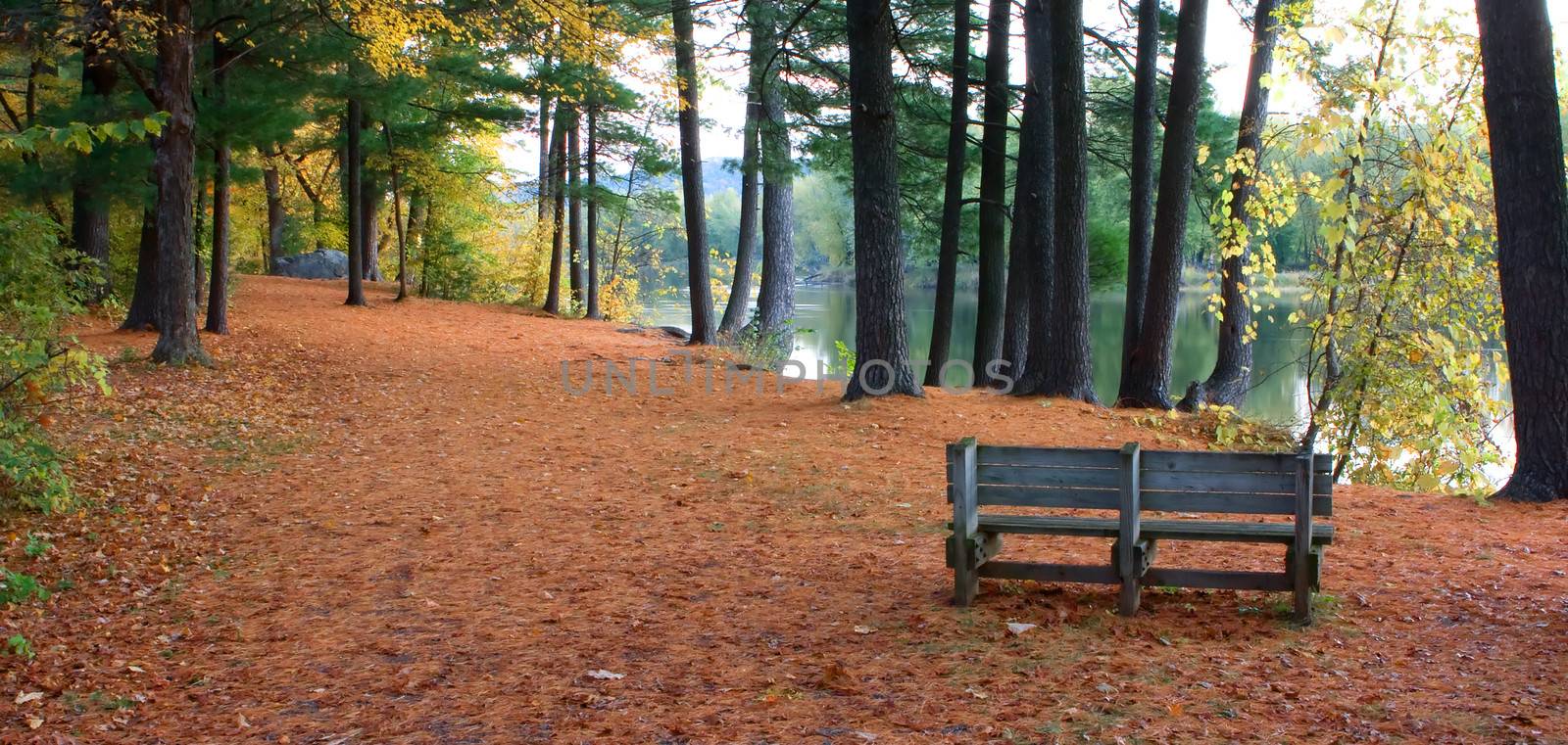 Autumn Bench by Coffee999