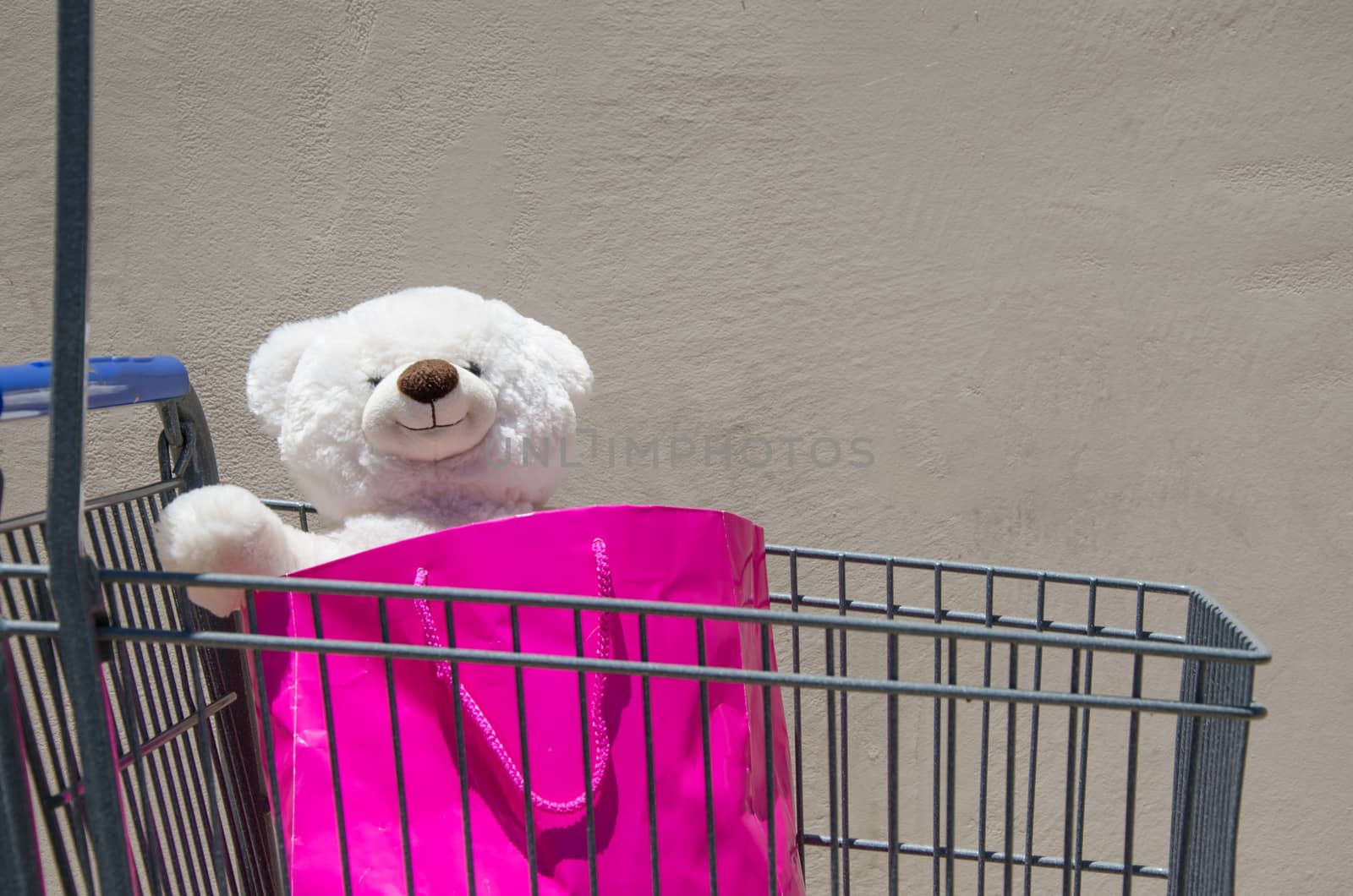 Toy - white bear -  in shopping bag in kid's shopping cart 
Note - this typical white bear was made by hands of my daughter on Build-A-Bear Workshop in Northridge, California, USA.