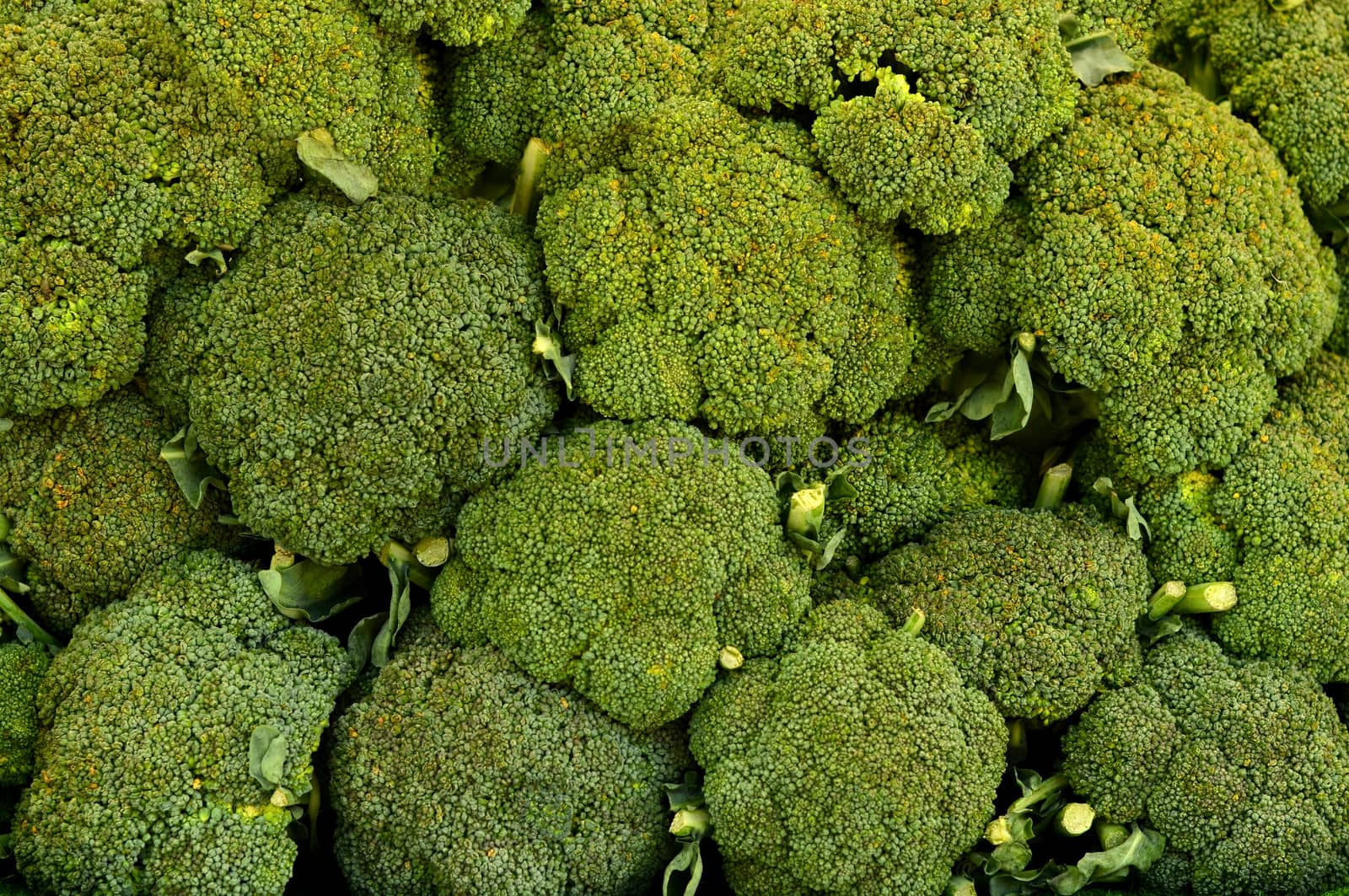 Background Texture Of Broccoli In A Market