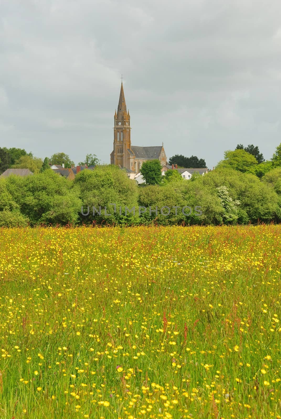 Green grass meadow woody hedgerow 
Village in the French countryside
