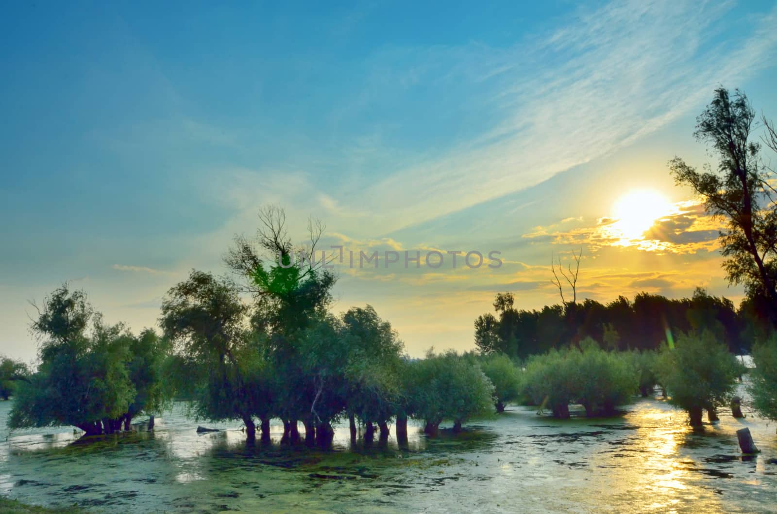 sunset on danube river by mady70