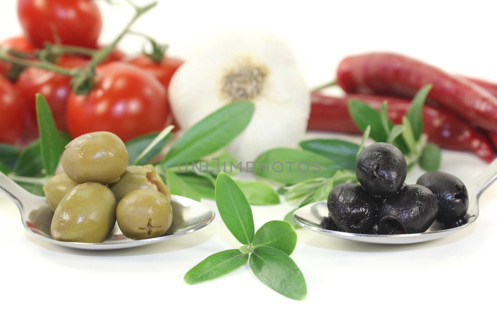 olives with olive bough on a light background