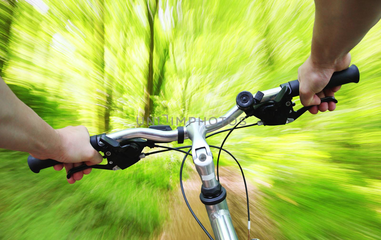 Riding bike fast through the forest