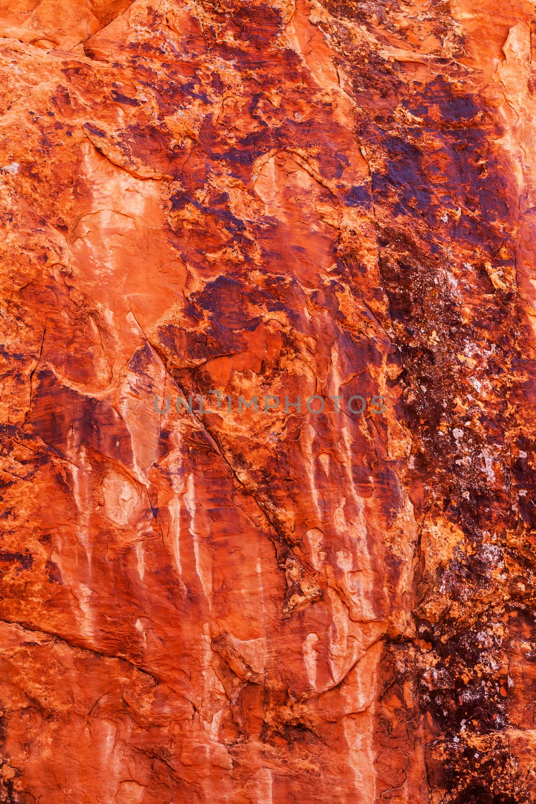 Brown Yellow Orange Rock Canyon Abstract Arches National Park Moab Utah by bill_perry