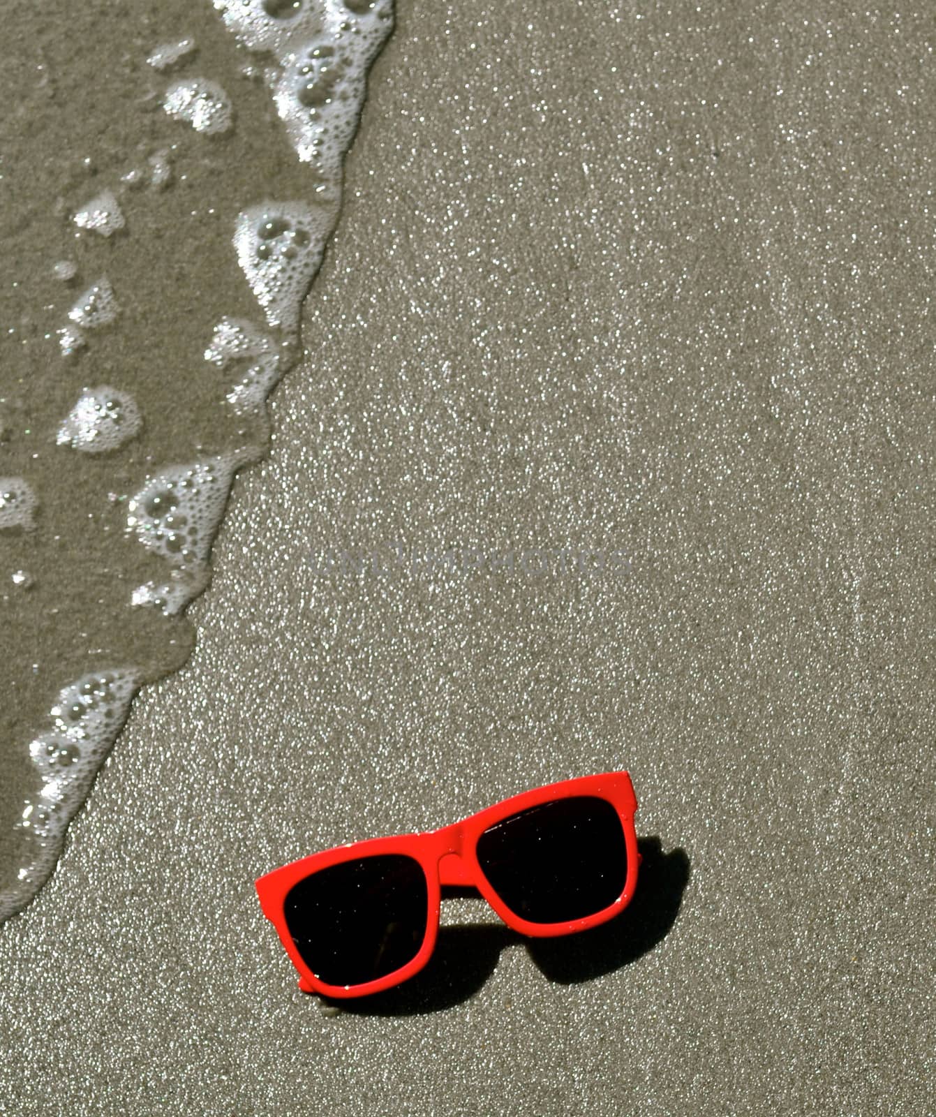 In the Sand - Sunglasses