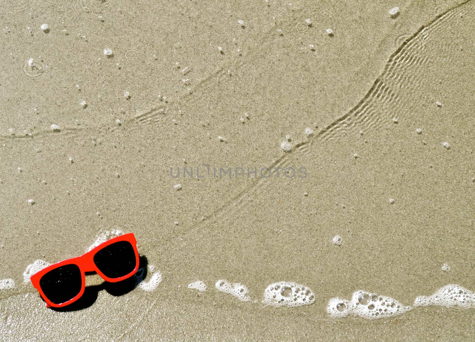 In the Sand - Sunglasses