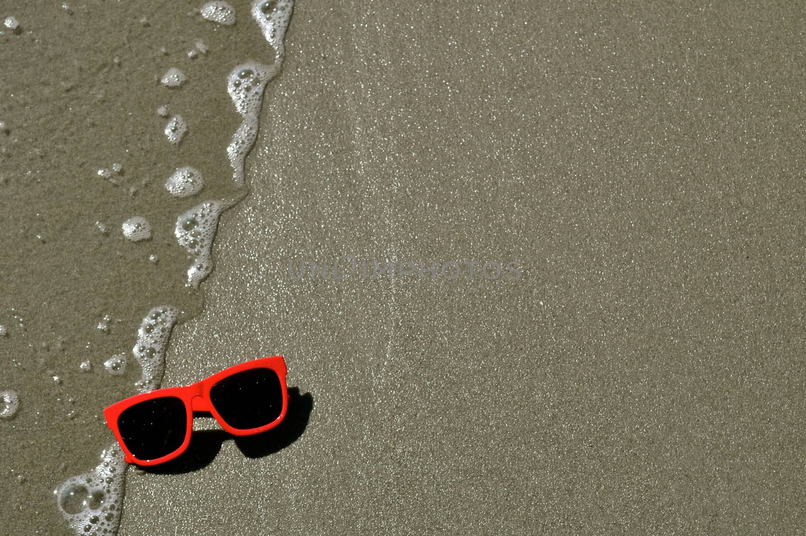 In the Sand - Sunglasses