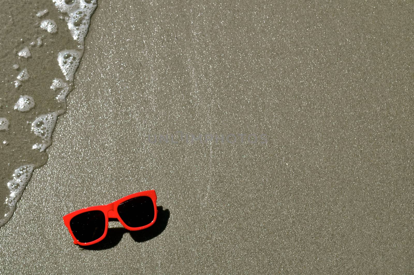 In the Sand - Sunglasses