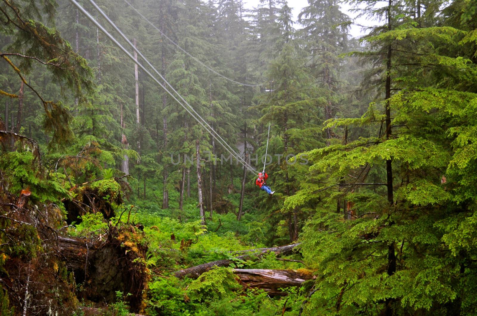  Man Ziplines through forest