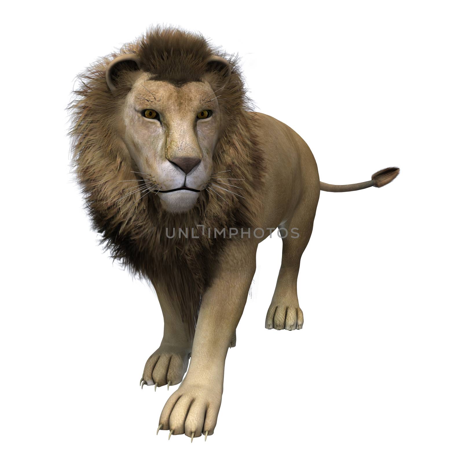 3D digital render of a male lion isolated on white background