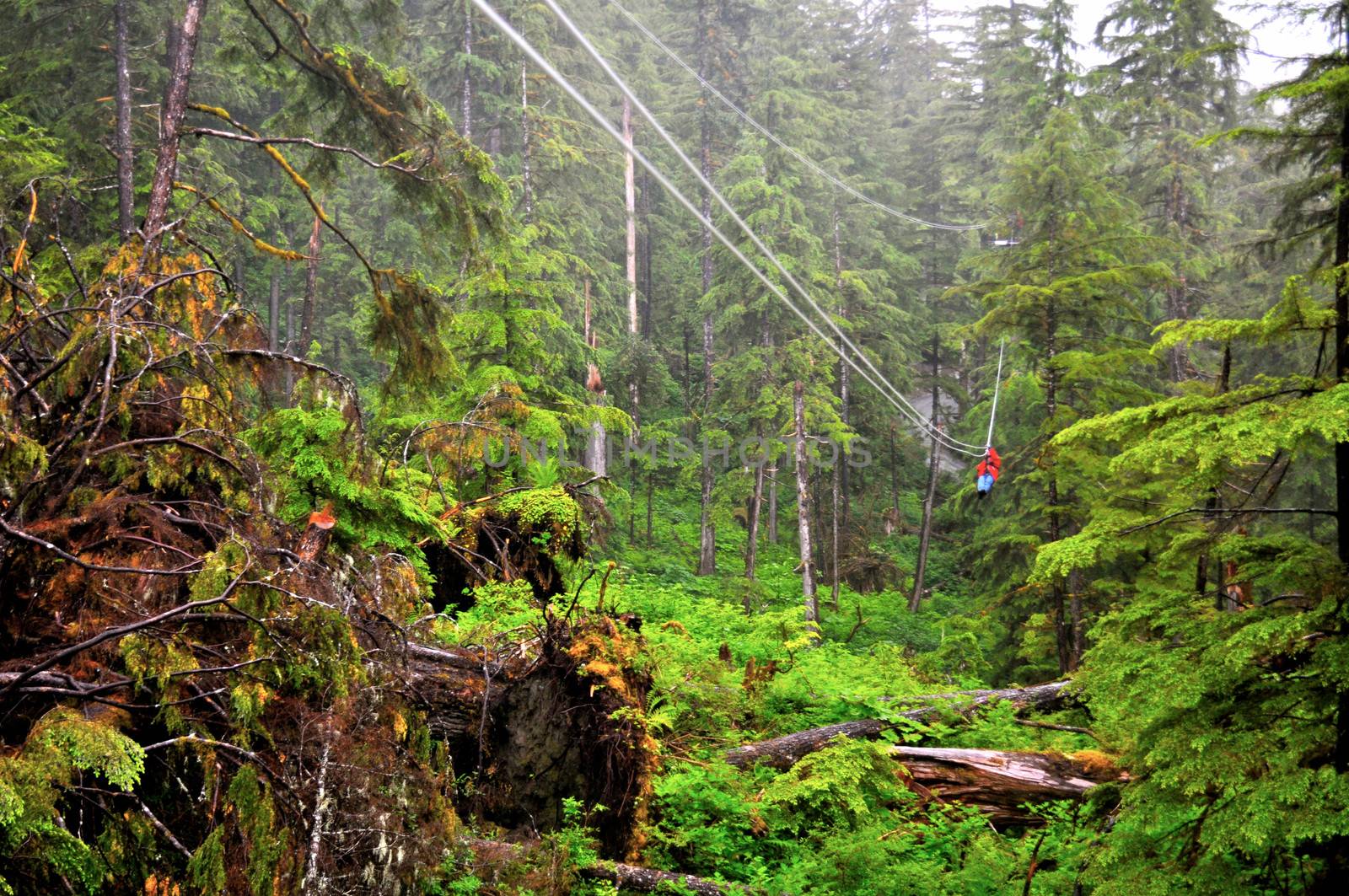  Riding the zipline