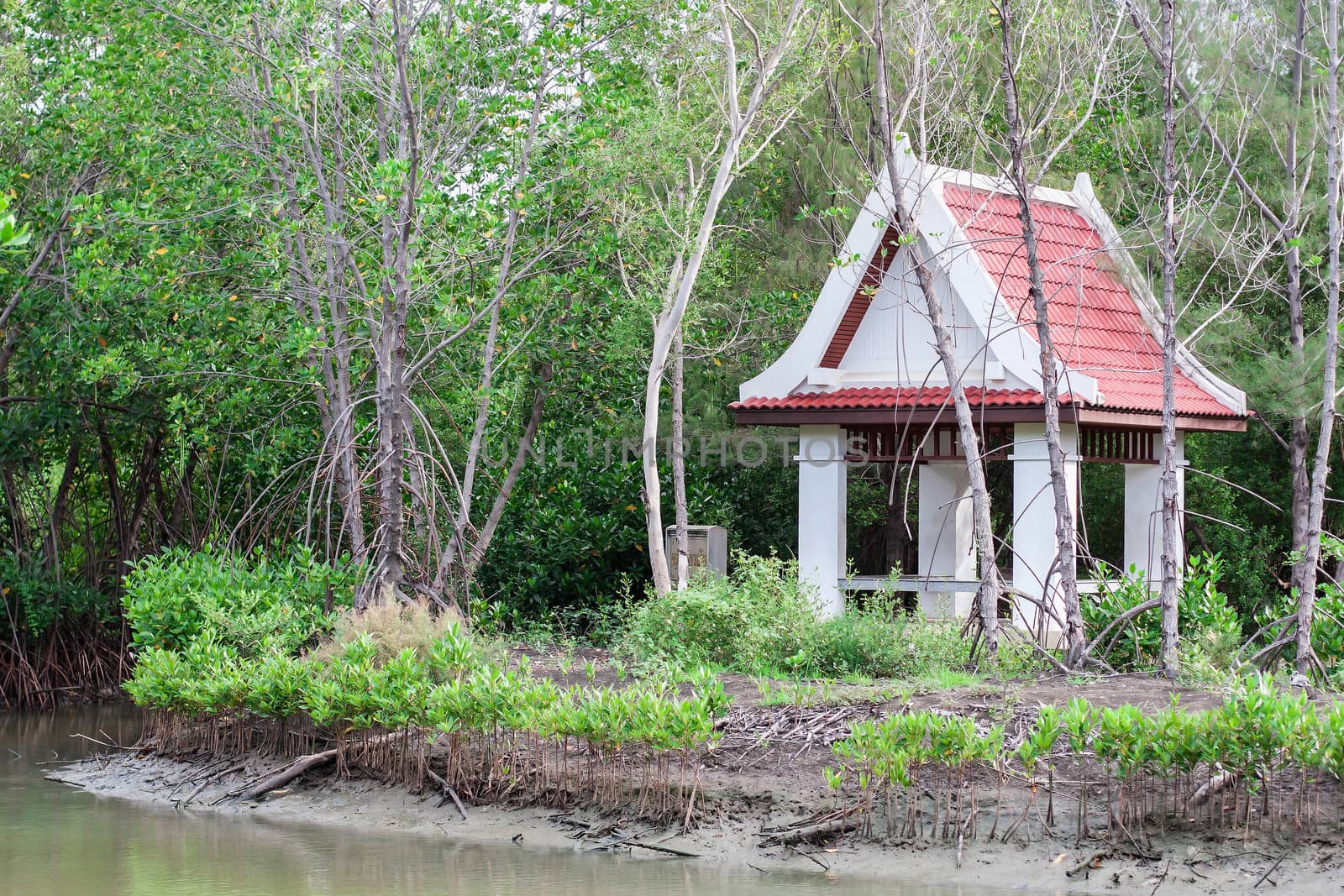 water front pavilion in forest