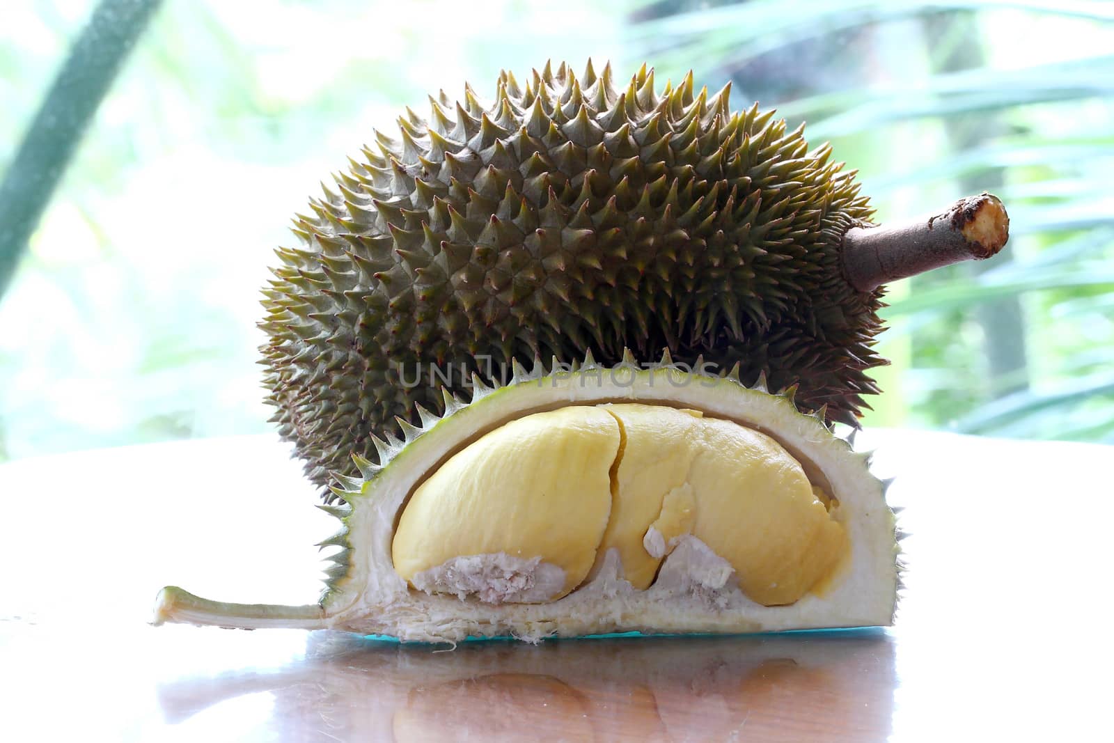 Close up of peeled Durian or Dorain