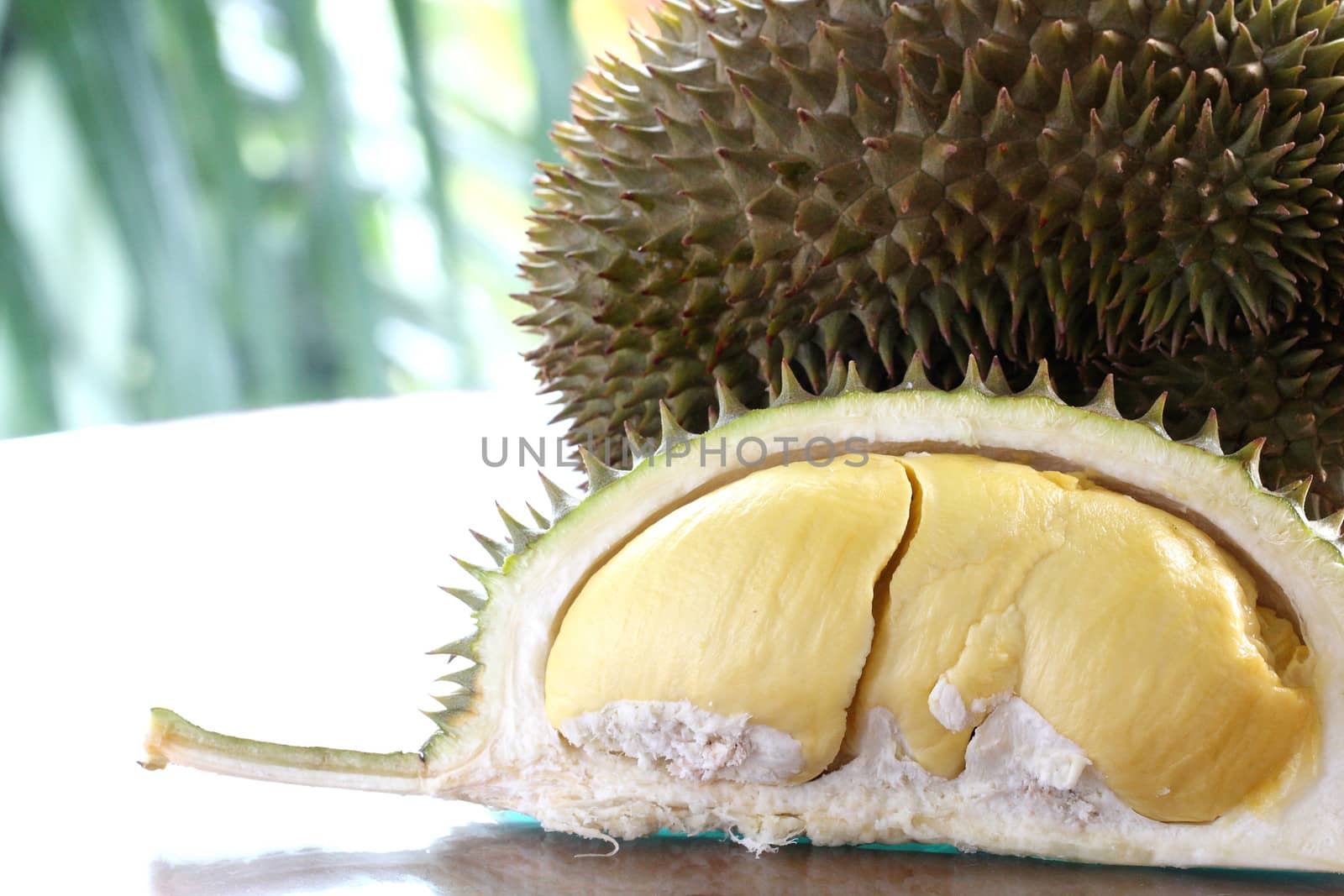 Close up of peeled Durian or Dorain by myrainjom01