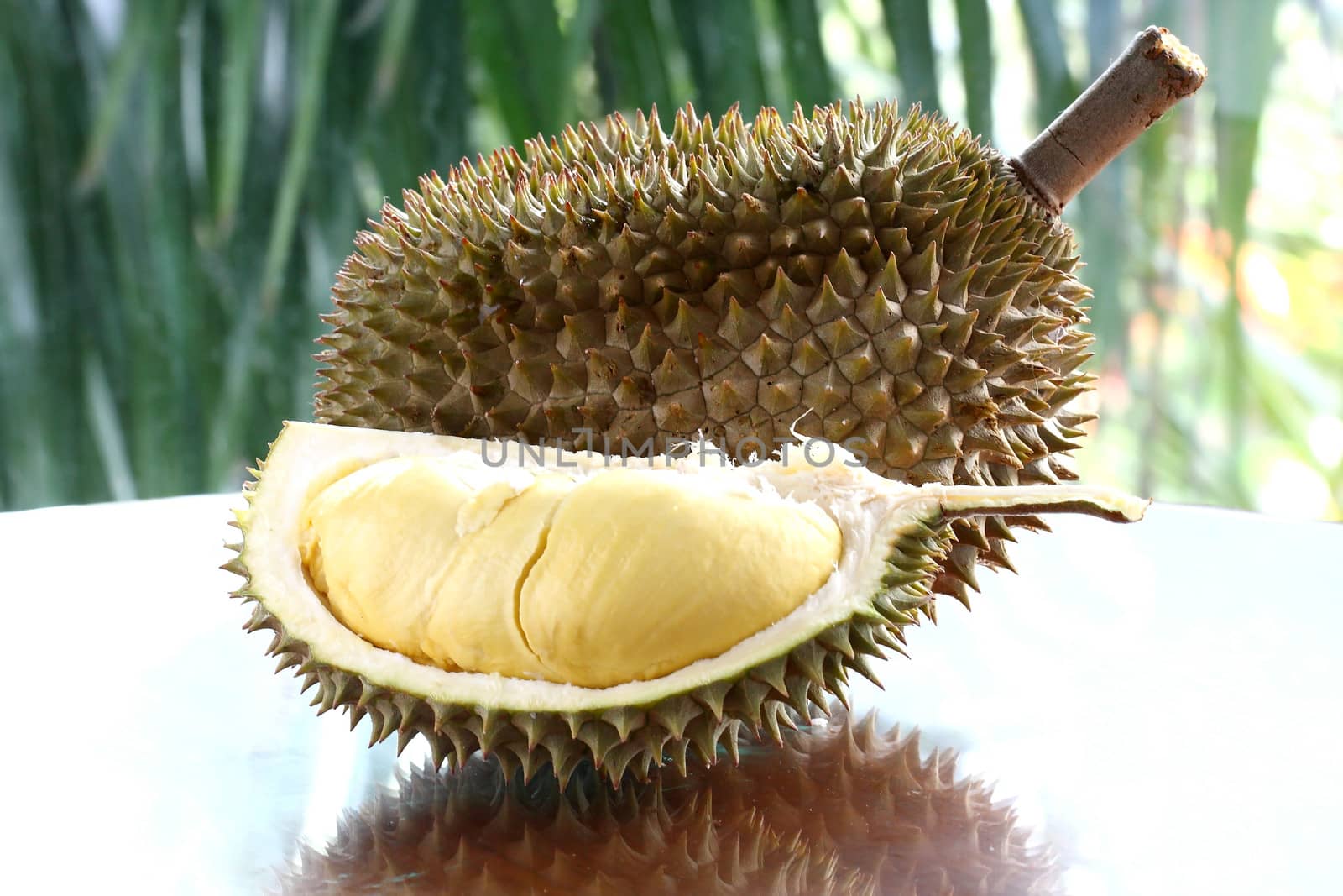 Close up of peeled Durian or Dorain