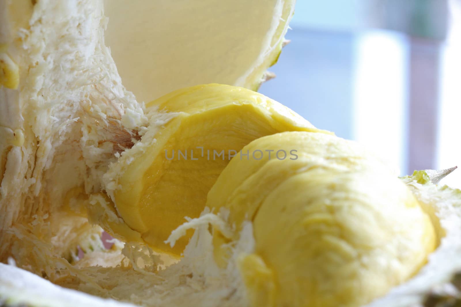 Close up of peeled Durian or Dorain