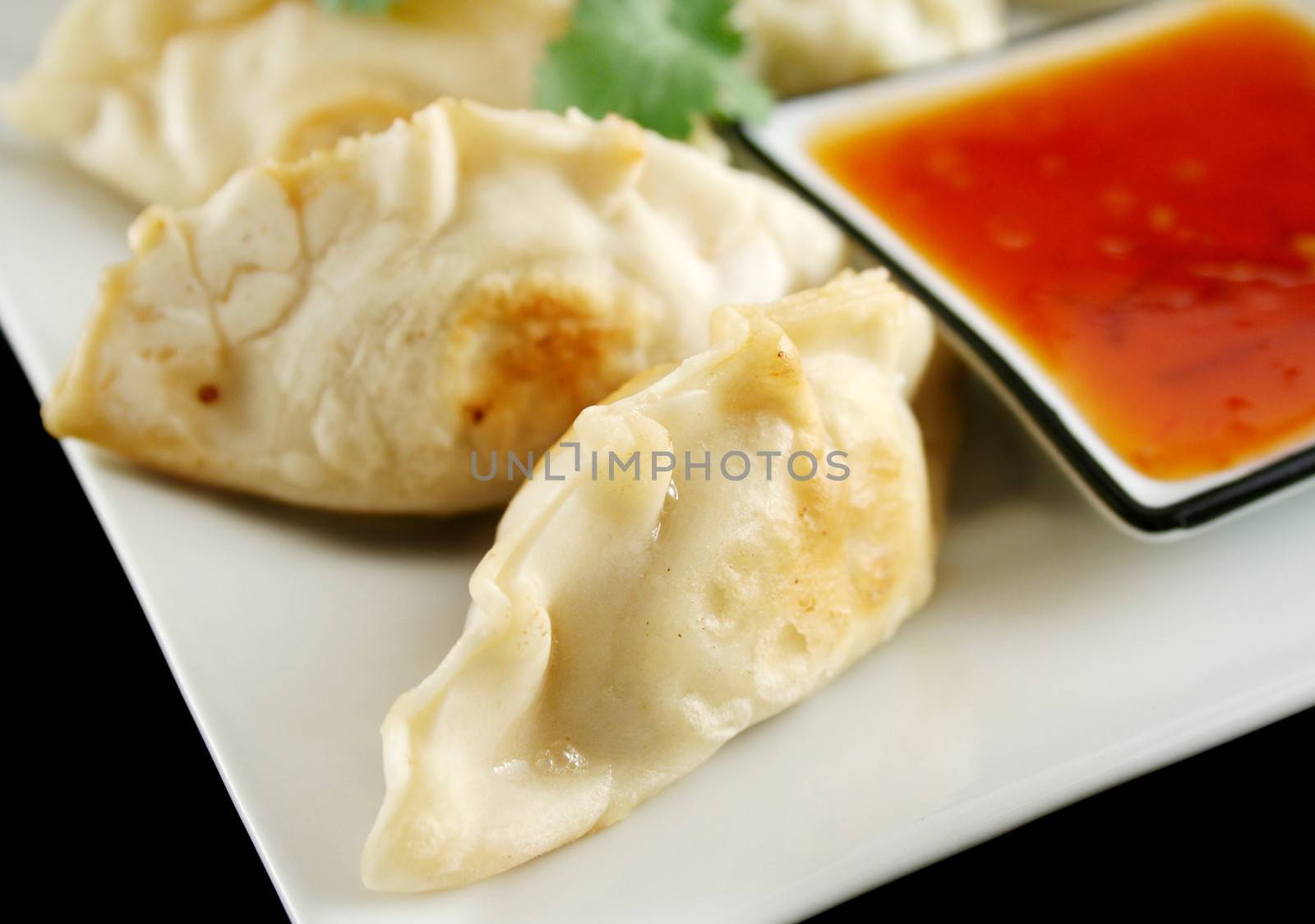 Delicious fried pork and vegetable Chinese dumplings ready to serve.