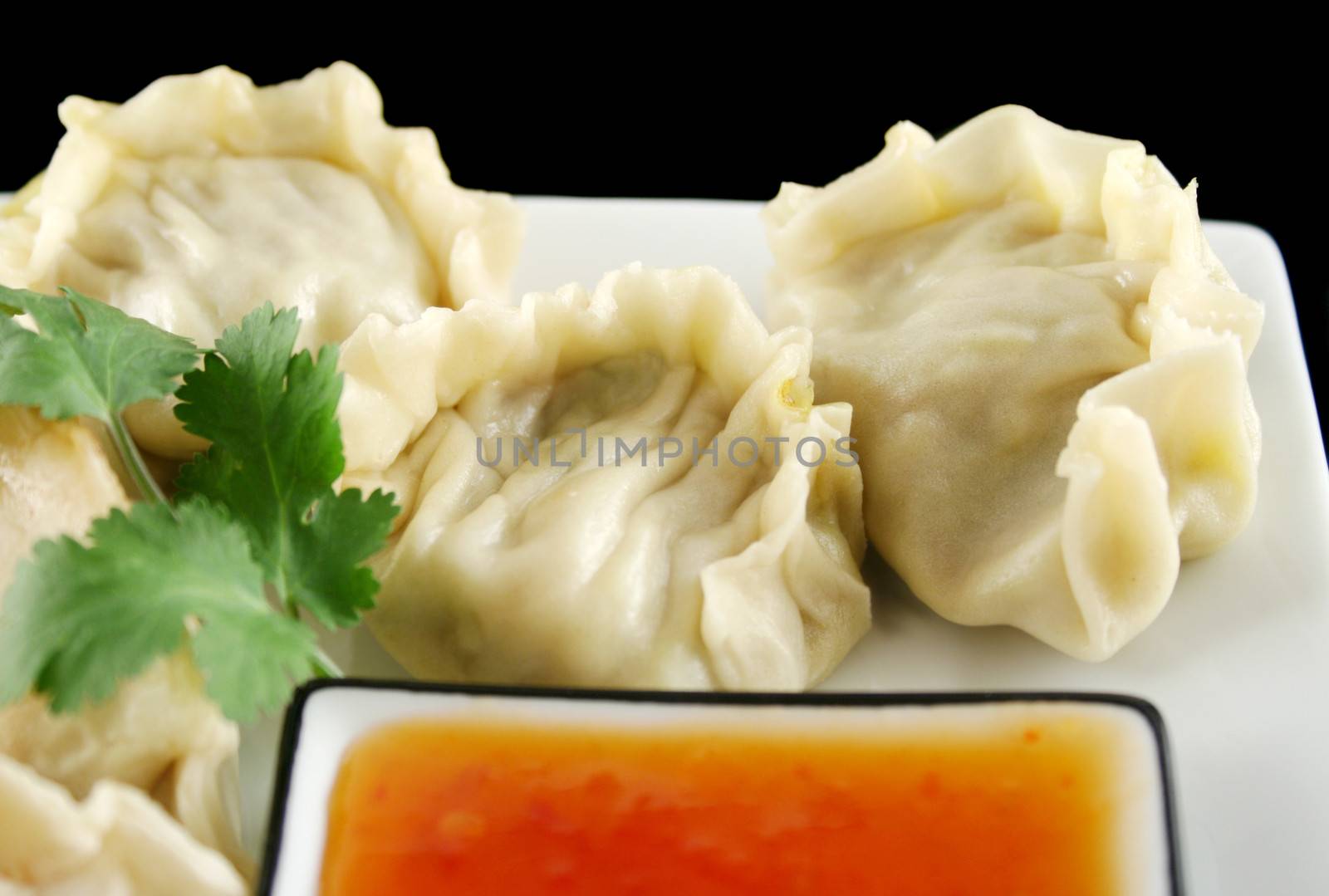 Delicious fried pork and vegetable Chinese dumplings ready to serve.